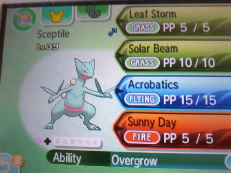 best moveset for sceptile|Sceptile .